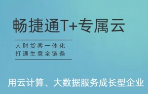 T+Z 用友T+专属云 畅捷通财务会计记账软件企业进销存ERP生产管理系统