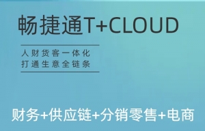 t+_副本 用友财务软件T+Cloud标准版进销存云ERP零售生产财务管理软件